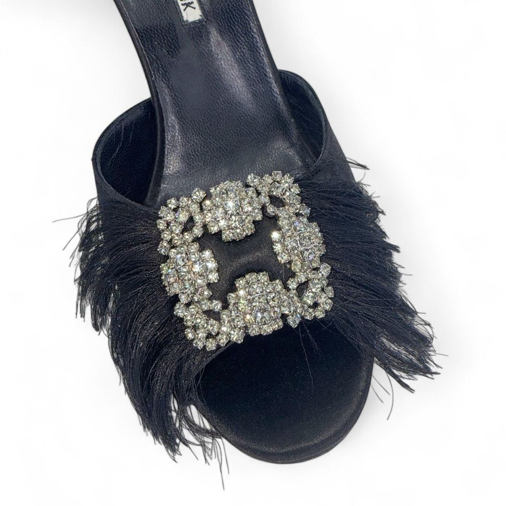 Rare Black MANOLO BLAHNIK Hangisi Crystal & Fringe Embellished Heels Siz… - Picture 4 of 10